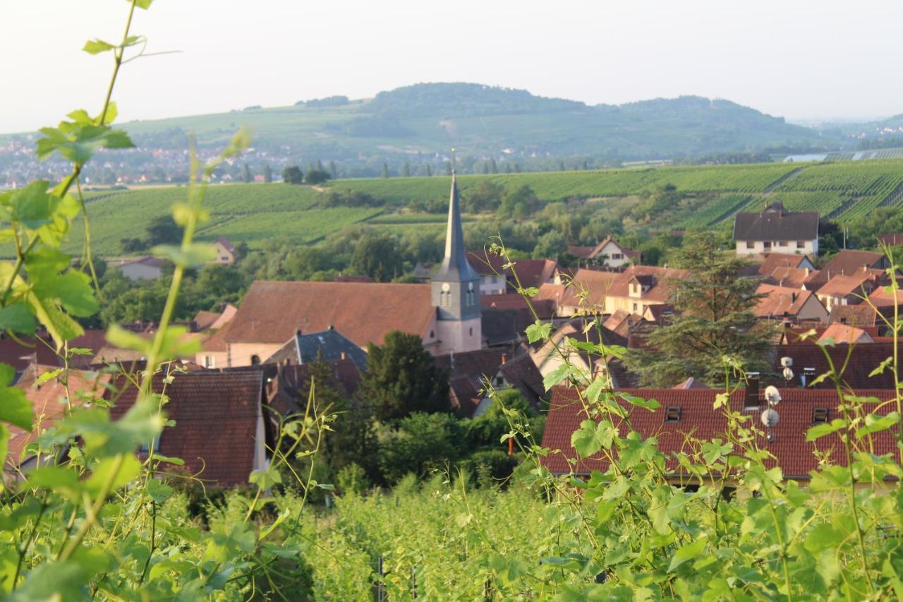 A L'Oree Des Vignes, Superbe Logement De 80 M2 Wangen Dış mekan fotoğraf